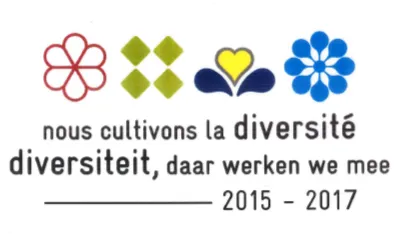 **Texte ALT :** Quatre motifs colorés illustrent un message sur la diversité en français et néerlandais, avec les années 2015-2017. **Meta Description :** Image avec des motifs colorés et un texte sur la diversité en deux langues, pour les années 2015-2017.